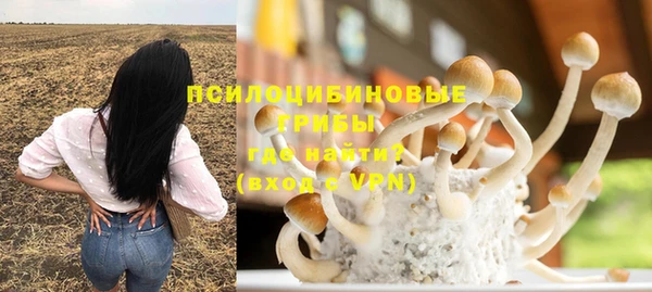 мескалин Алексин