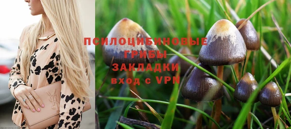 круглые Алзамай